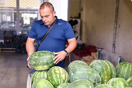 Επιλεγμένα ντόπια φρούτα και λαχανικά